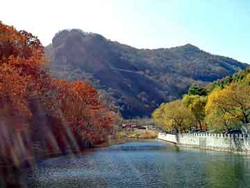 澳门期期准免费精准，燃油旅游观光车